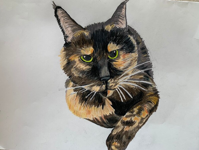 Custom pet portrait colored pencil image 2