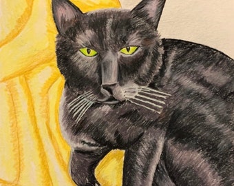 Custom pet portrait - colored pencil