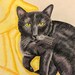 see more listings in the Colored Pencil Drawings section