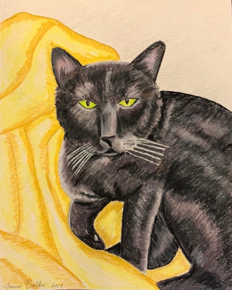 Custom pet portrait colored pencil image 1