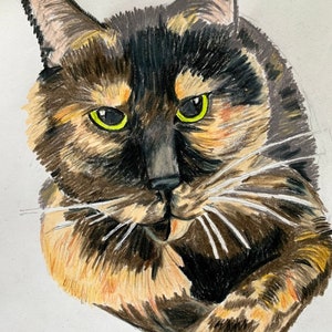 Custom pet portrait colored pencil image 3