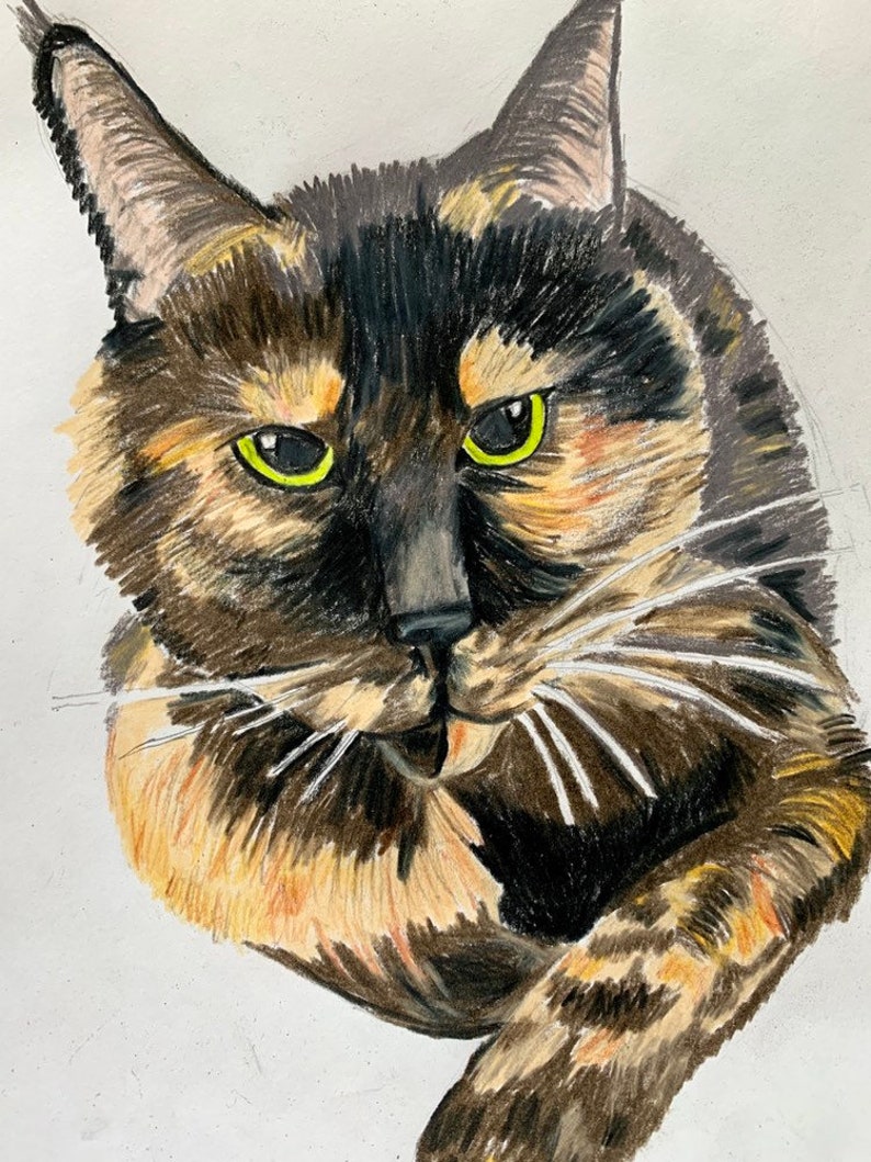 Custom pet portrait colored pencil image 3