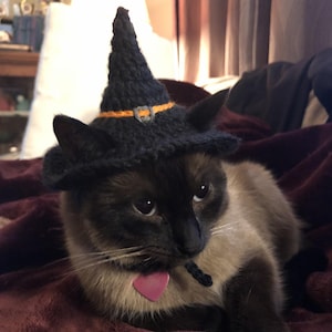 Puede incluir: Un gato siamés con un sombrero de bruja negro de ganchillo con una banda y hebilla naranja. El gato tiene una etiqueta rosa en forma de corazón en un cordón negro alrededor del cuello. El gato está tumbado en una manta burdeos.