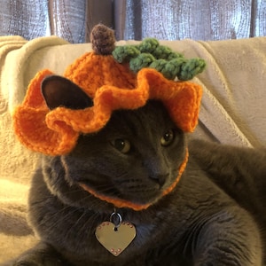 Crochet Pumpkin Cat Hat Pattern, Halloween Crochet Pumpkin Hat For Cat, Pet Costume Digital PDF Pattern