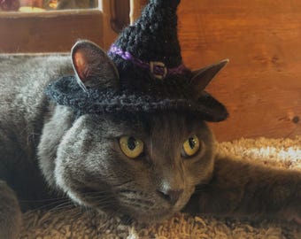 Crochet Witch Cat Hat Pattern: Halloween Pet Costume for Cats (Digital PDF Download)