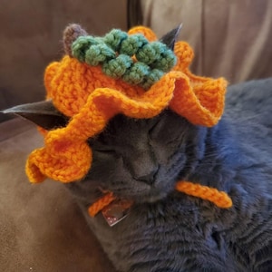 May include: A crocheted orange pumpkin hat with a ruffled brim, a small brown stem, and textured green leaves on top. The hat features two orange crocheted ties that hang down from the sides, designed to be secured under the chin of a pet.