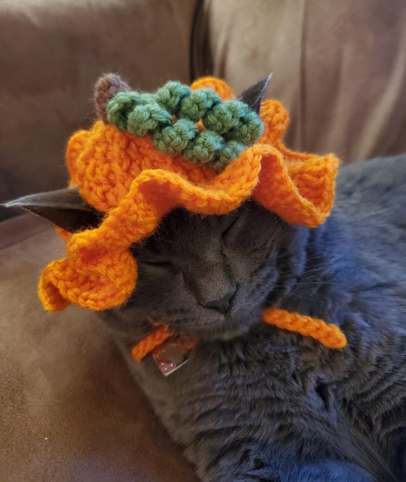 May include: A crocheted orange pumpkin hat with a ruffled brim, a small brown stem, and textured green leaves on top. The hat features two orange crocheted ties that hang down from the sides, designed to be secured under the chin of a pet.