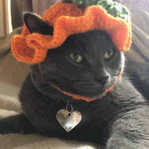 May include: A grey cat wearing a crocheted orange pumpkin hat with a brown stem and green leaves. The hat features a ruffled brim and a chin strap. The cat also wears a silver heart-shaped pet tag with small pink accents on a collar.