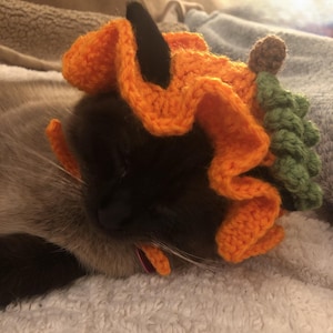May include: A crocheted pet hat shaped like a pumpkin with a ruffled orange brim, a small brown stem at the top, and textured green leaves on the side. The hat is designed with openings for ears and features orange ties to secure it under the chin.