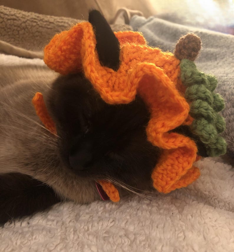 May include: A crocheted pet hat shaped like a pumpkin with a ruffled orange brim, a small brown stem at the top, and textured green leaves on the side. The hat is designed with openings for ears and features orange ties to secure it under the chin.