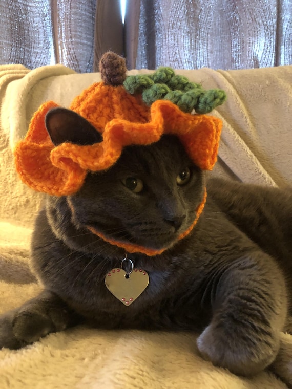 Crochet Pumpkin Cat Hat Pattern: Halloween/Thanksgiving Pet Costume for Cats (Digital PDF Download)