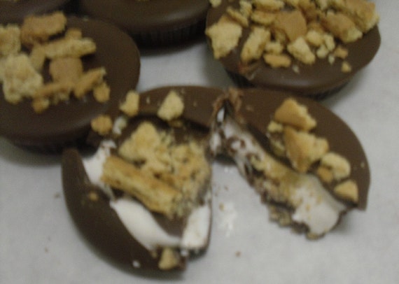 One Dozen Smores Cups - Large