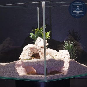 May include: A glass terrarium with a sandy substrate, rock formations, and artificial plants. The terrarium houses a small green lizard. The background is dark, and the overall design is intended for reptile habitats.