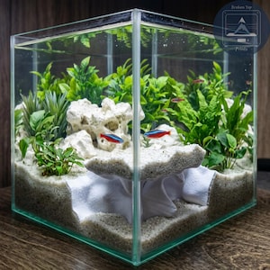 May include: A square glass aquarium filled with light-colored sand, white rock formations, and green aquatic plants. Two small neon tetra fish with bright blue and red horizontal stripes swim through the water. The tank features a clear, modern design.