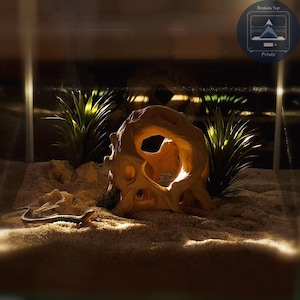 May include: A reptile terrarium featuring a lizard, a light-toned, carved wooden ornament, and artificial plants. The enclosure has a sandy base and small rocks. The image includes the text "Broken Top Prints" in a circular logo.