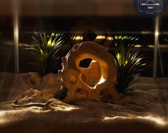 3D Printed Aquarium Terrarium Hide: Ancient Root Decor, for Fish Shrimp Reptile, (Durable Natural Tank Cave Ornament Centerpiece)