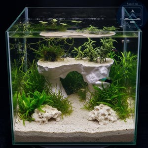 May include: A clear glass aquarium with a white rock formation and live aquatic plants. The tank features a sandy substrate, with green plants and small fish. The aquarium is well-lit, showcasing the underwater environment.