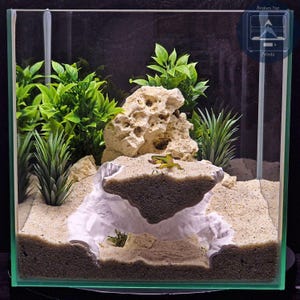 May include: A small, clear glass terrarium with a sandy base and decorative elements. It features a rock formation, green plants, and a small, yellow frog figurine. The terrarium is designed to mimic a natural habitat.