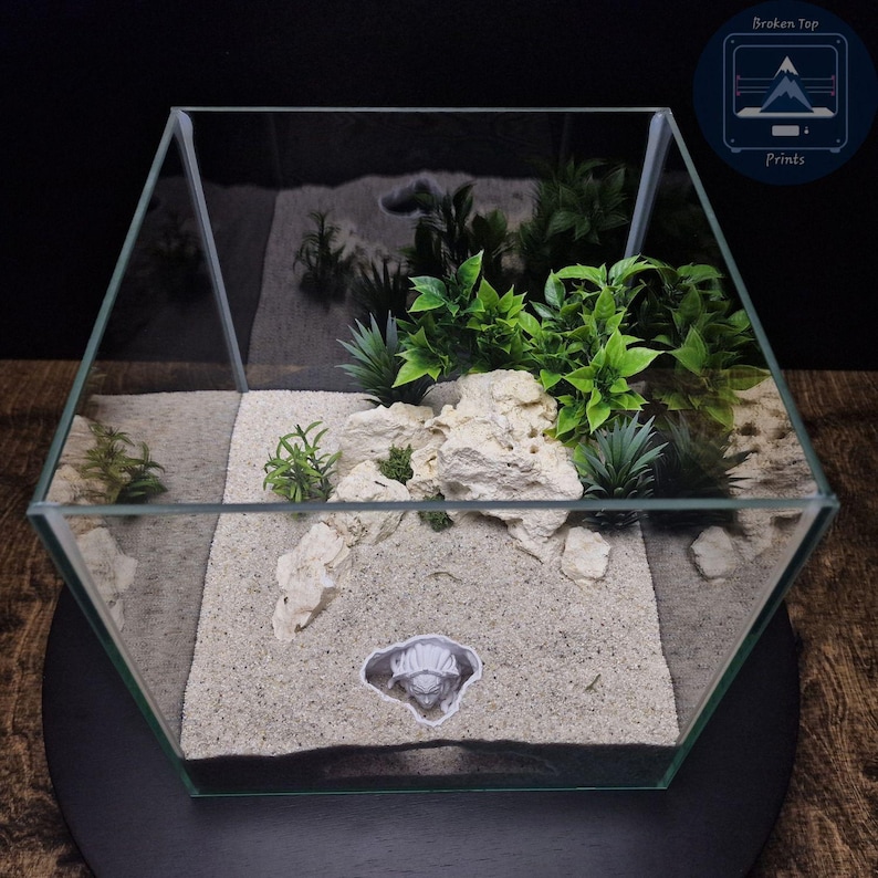 K&ouml;nnte beinhalten: Ein klares, sechseckiges Glas-Terrarium mit sandiger Basis, dekorativen Steinen und k&uuml;nstlichen gr&uuml;nen Pflanzen. Ein kleiner Aufkleber einer Kreatur ist auf dem Sand zu sehen. Das Terrarium steht auf einer schwarzen Oberfl&auml;che.