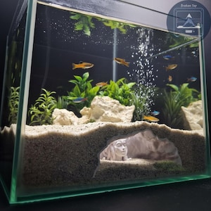 K&ouml;nnte beinhalten: Ein rechteckiges Glasaquarium mit sandigem Boden, Felsen und gr&uuml;nen Pflanzen. Mehrere kleine, bunte Fische schwimmen im Wasser. Eine wei&szlig;e Statue ist durch eine h&ouml;hlenartige Struktur im Sand sichtbar.