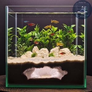 May include: A square glass aquarium filled with water, featuring live fish and aquatic plants. The tank includes a sandy substrate, decorative rocks, and a cave-like structure. Various colorful fish swim among the greenery, creating a vibrant underwater scene.