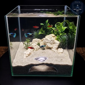 K&ouml;nnte beinhalten: Ein klares Glasaquarium mit sandigem Boden, dekorativen Steinen und gr&uuml;nen Pflanzen. Mehrere kleine, bunte Fische schwimmen darin. Das Aquarium hat einen schwarzen Hintergrund und wird von oben beleuchtet. Das Markenlogo "Broken Top Prints" befindet sich oben rechts.