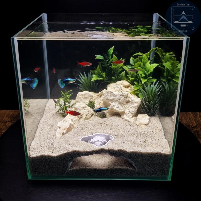 K&ouml;nnte beinhalten: Ein klares Glasaquarium mit sandigem Boden, dekorativen Steinen und gr&uuml;nen Pflanzen. Mehrere kleine, bunte Fische schwimmen darin. Das Aquarium hat einen schwarzen Hintergrund und wird von oben beleuchtet. Das Markenlogo "Broken Top Prints" befindet sich oben rechts.