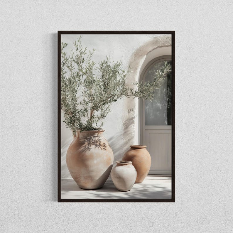 May include: Three terracotta pots with a green olive tree in the largest pot. The pots are sitting on a white stone patio in front of a white building with an arched doorway.
