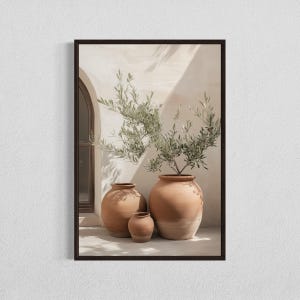 May include: Three terracotta pots of varying sizes, with a small olive tree growing in the largest pot. The pots are sitting on a light-colored patio with a white wall in the background.