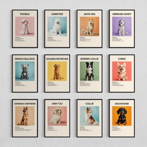 Set of 12 Dog Breed Posters Digital Download, Veterinary Prints and Canine Wall Art