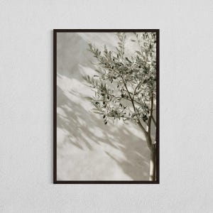 May include: A framed print of a close-up of an olive tree branch with green leaves and small black olives against a white wall. The tree casts shadows on the wall.