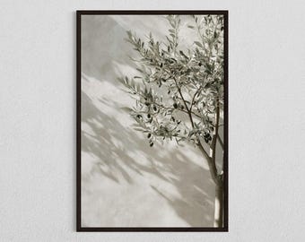 Olive Tree Shadow Art, Digital Download, Minimalist Mediterranean Decor, Neutral Wall Art Print