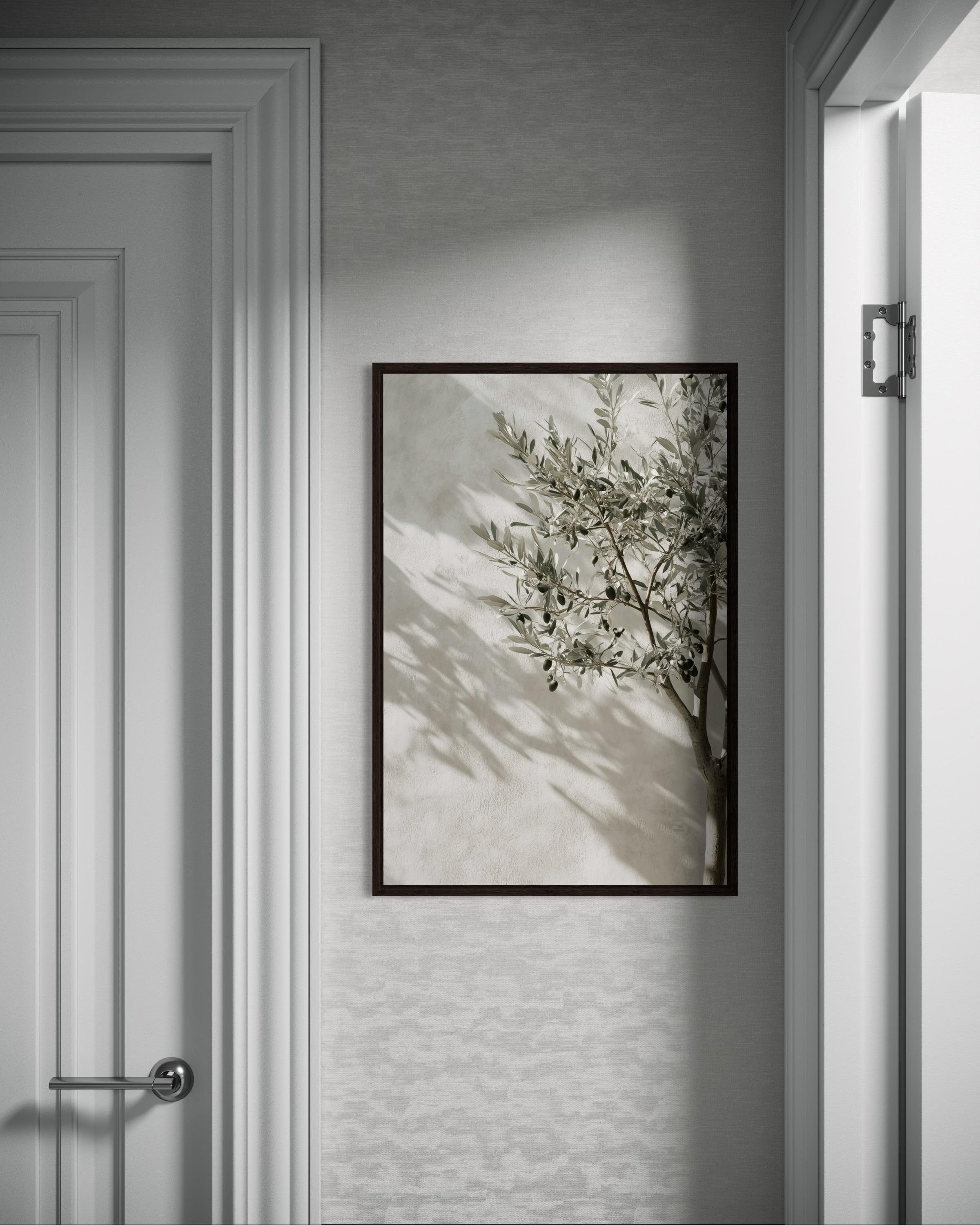 Olive Tree Shadow Print, Minimalist Mediterranean Art, Neutral Tree ...