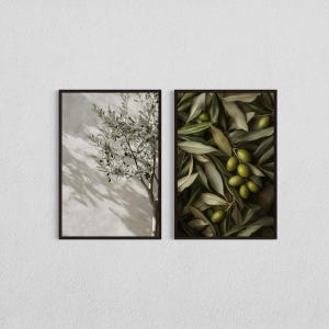 Olive Tree Botanical Print Set: Mediterranean Green Wall Art (Digital Download)