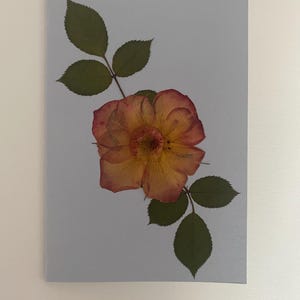 Tarjeta de felicitación hecha a mano - flores prensadas reales - rosa naranja