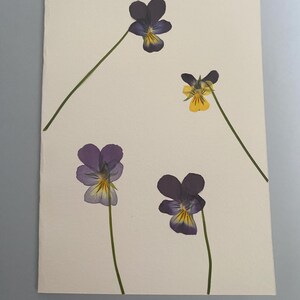 Handmade greetings card - real pressed flowers - 4 violas