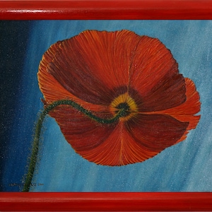Oil painting poppy 40 x 60 cm