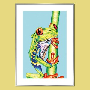 May include: A green and yellow frog with red eyes and orange feet is clinging to a green branch. The frog is drawn in a realistic style with detailed textures.