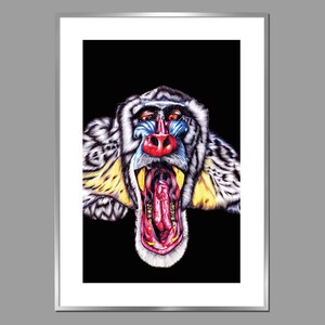 May include: A colorful illustration of a mandrill monkey with its mouth open, showing its teeth. The monkey has a blue face, red nose, and yellow fur. The background is black.