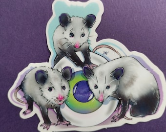 XL Possum Sticker