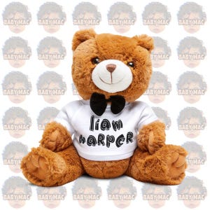 Custom Teddy Bear / Personalized Stuffed Animal / Soft, Cuddly, and Perfect for Baby Showers, Birthdays, Announcements / CUSTOM MADE