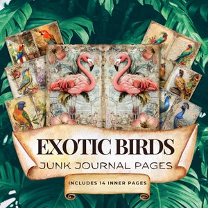 Exotische Vögel Junk Journal Seiten, Vintage Collage Sheet, Shabby Chic druckbare Papier Handwerk Blatt Ephemera Scrapbooking.