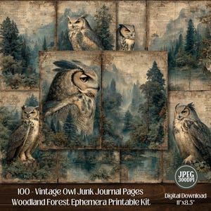 Vintage Owl Junk Journal Kit: Woodland Ephemera, Shabby Chic (100 JPG Digital Download