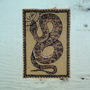 May include: A rectangular patch with a coiled snake design. The snake is brown and black, with a detailed pattern. The patch has a tan background and a black border. The text "VA" is visible in the upper left corner, within a circular design.