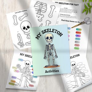 Human Skeleton Busy Page, Children&#39;s Body Activity, Kids Printable Montessori Educational Materials, Kids Bone Study, Homeschool Learning