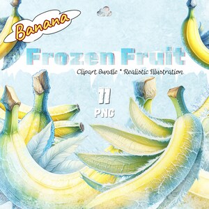 Lot de 11 cliparts de fruits surgelés | Collection de bananes - Illustration réaliste | PNG 4k et 300 ppp | Utilisation commerciale, téléchargement immédiat