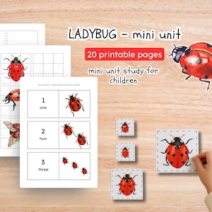 Ladybug Mini Unit Study – 20 Pages Printable Montessori & Preschool Activities, Life Cycle, Counting, Fine Motor Skills, Nature Study PDF
