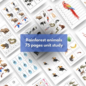 May include: A set of 75 printable rainforest animal educational worksheets for kids. The worksheets feature colorful illustrations of animals like toucans, capybaras, macaws, and frogs. The worksheets include activities like matching, counting, and alphabet recognition.