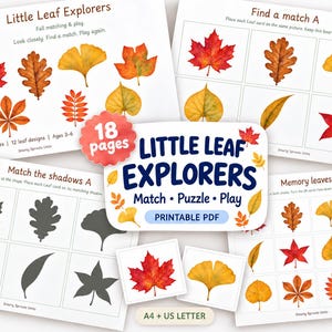 Könnte beinhalten: Ein druckbares PDF-Lernspielset mit dem Titel Little Leaf Explorers, das 18 Seiten mit herbstlichen Zuordnungsspielen, Schattenpuzzles und Memory-Karten mit farbenfrohen Illustrationen verschiedener Blätter in Rot, Orange und Gelb enthält.