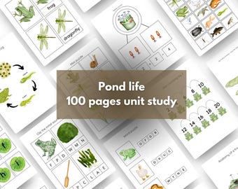 Pond life Unit Study | 70 Pages of Printable Activities | 3-Part Flashcards, homeschooling, early learning, morning basket